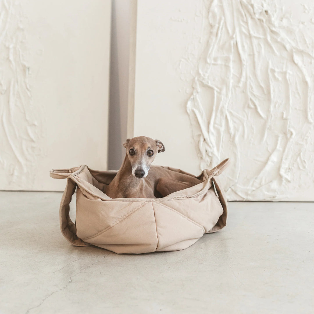 Olla Pet Carrier