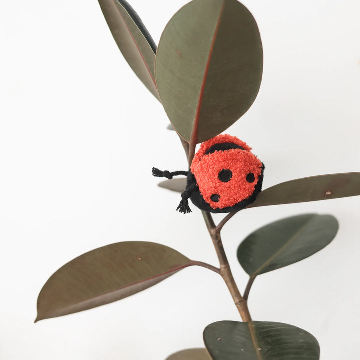 Ladybug Pop
