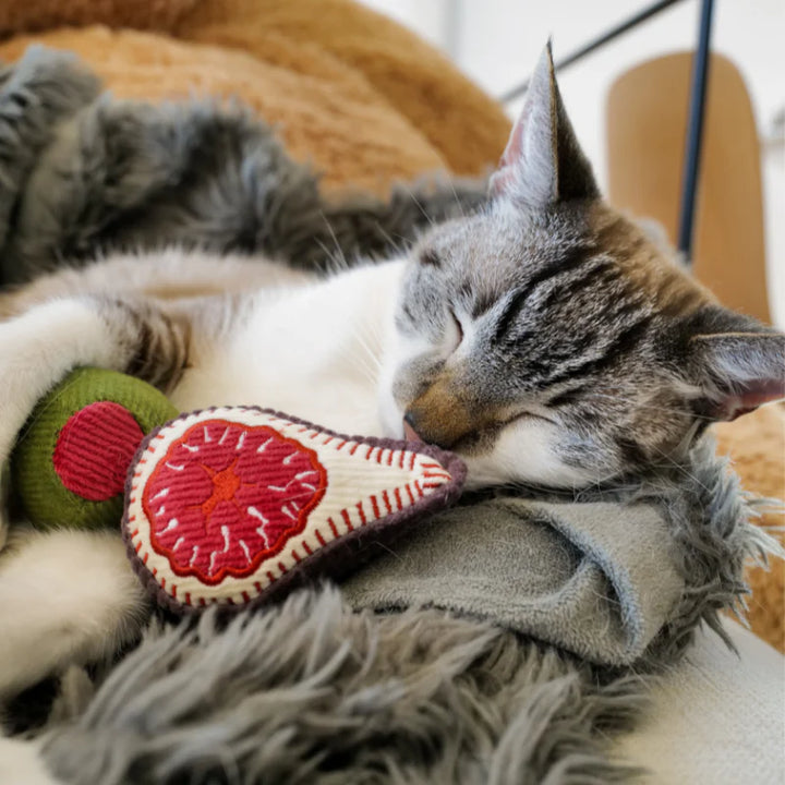 Kitty Olive & Fig