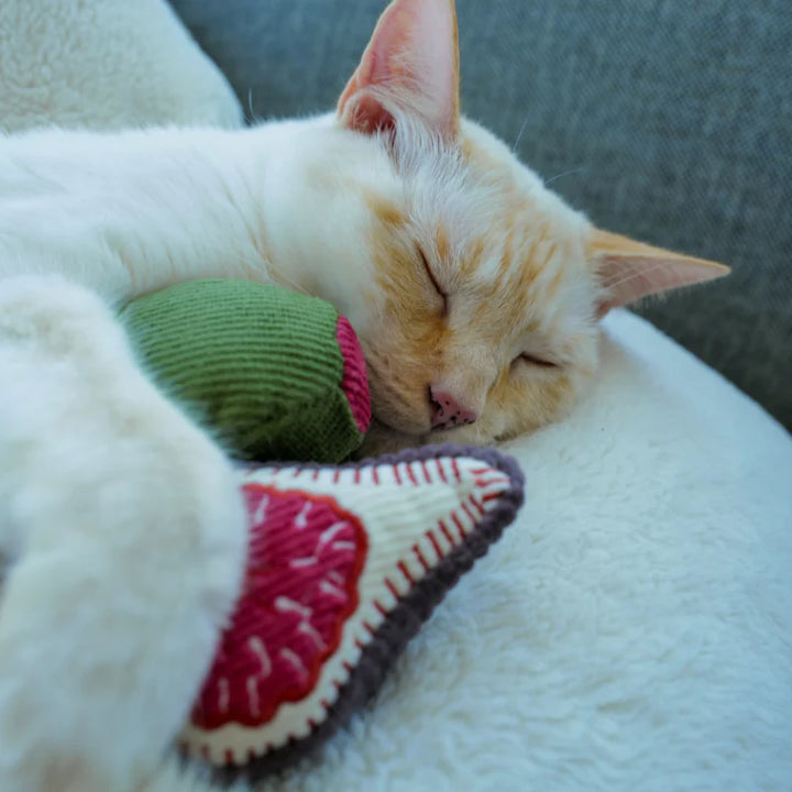 Kitty Olive & Fig