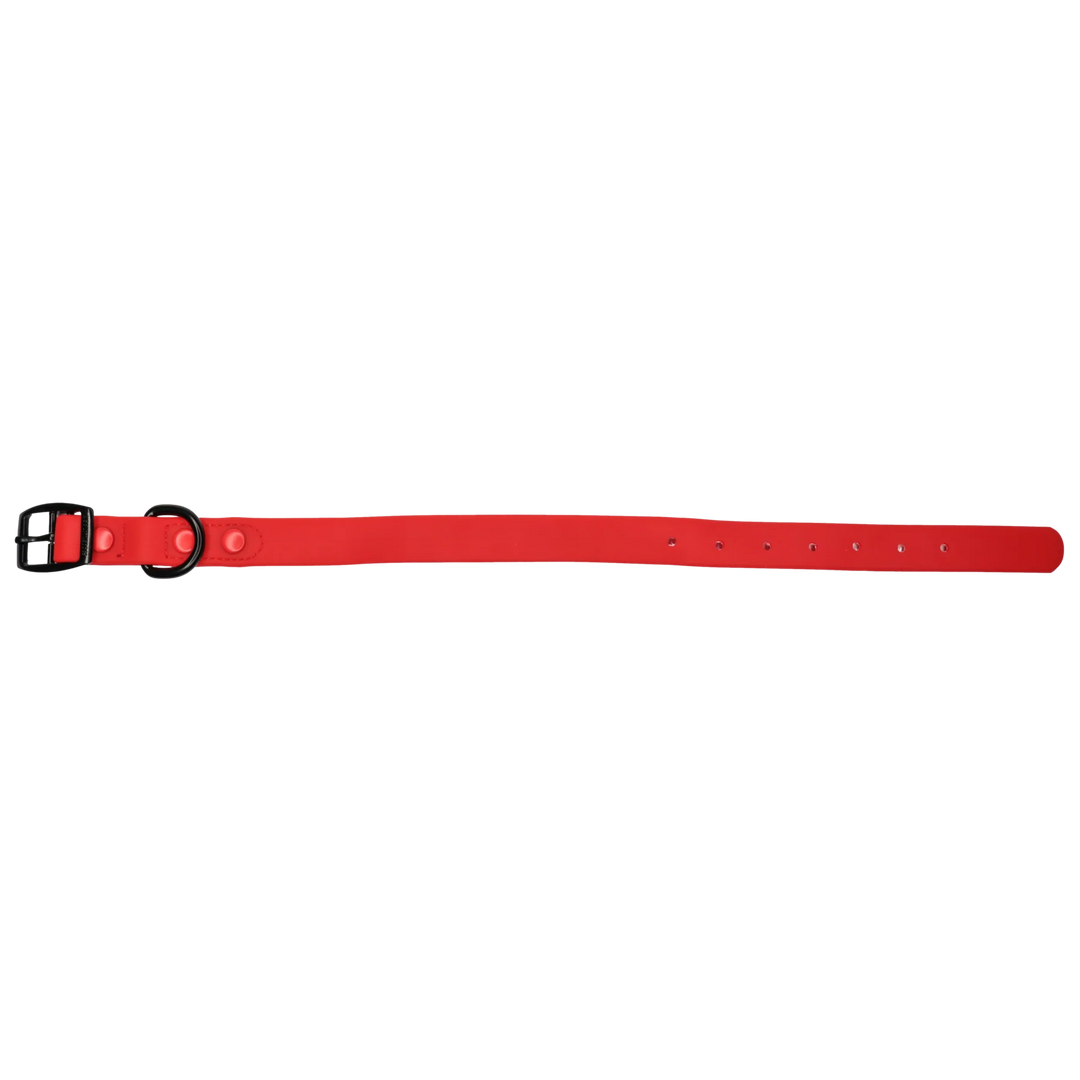 Dog Waterproof Collar | Candy Red