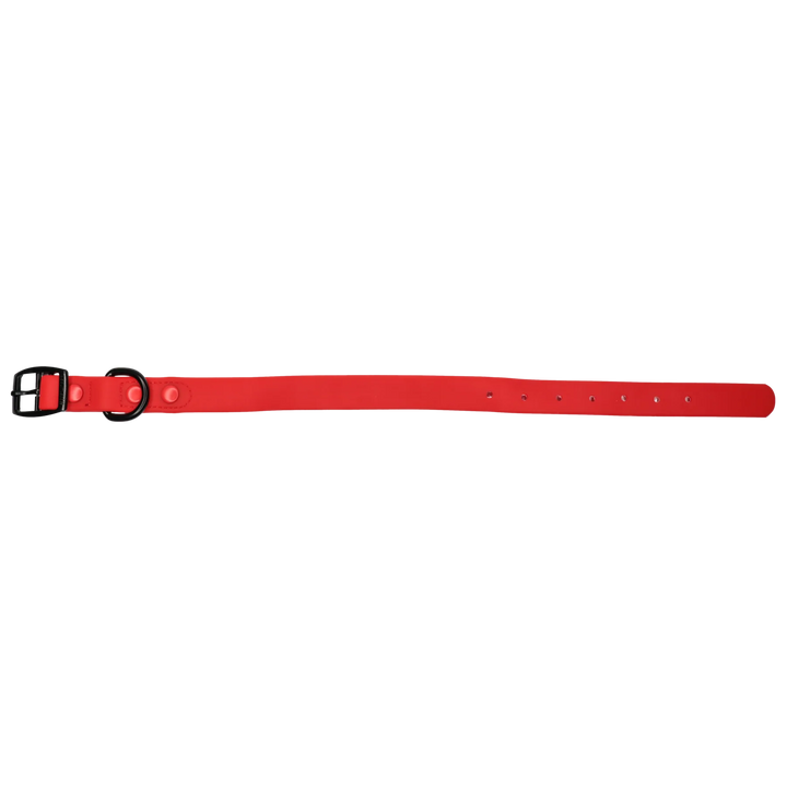 Dog Waterproof Collar | Candy Red