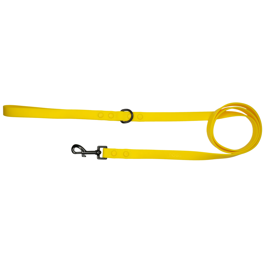 Dog Waterproof Leash | Lemon