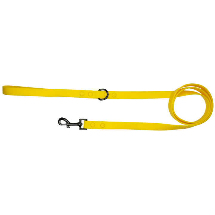 Dog Waterproof Leash | Lemon