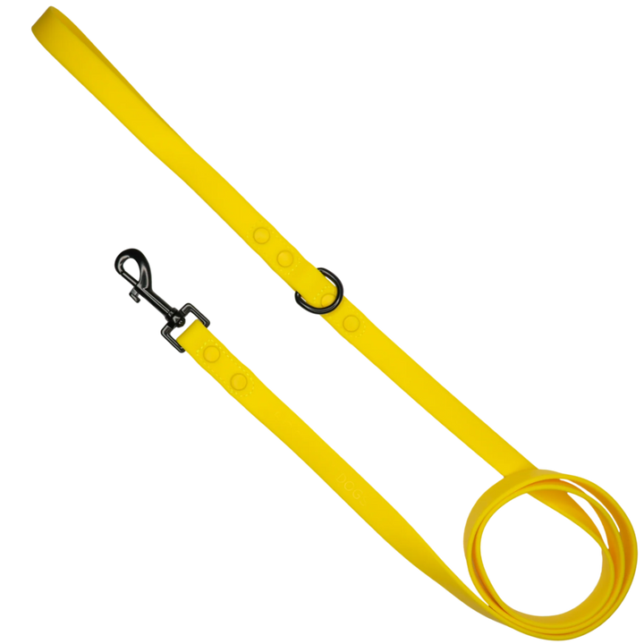 Dog Waterproof Leash | Lemon