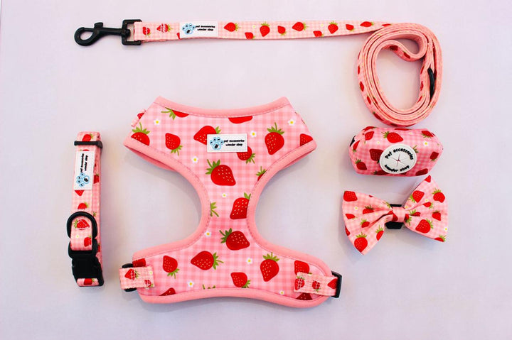 Berry Cute | Full Harness Set