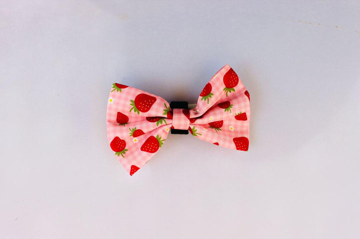 Berry Cute | Full Harness Set