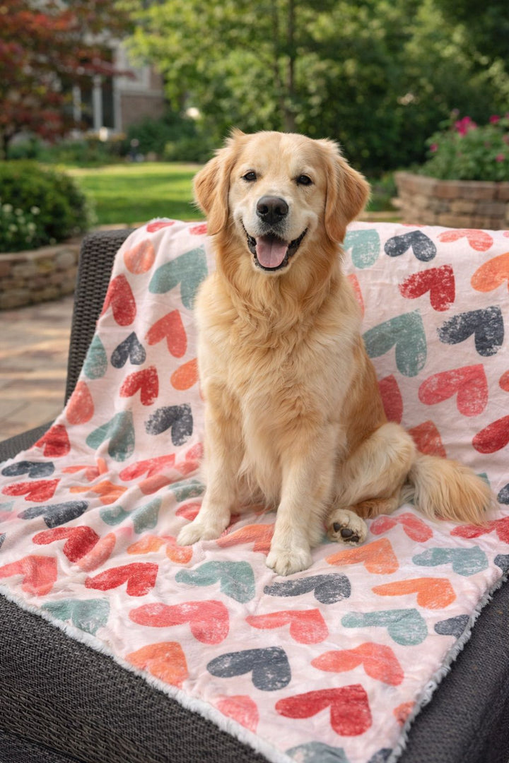 In Love Blanket