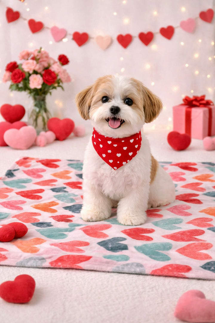 In Love Blanket