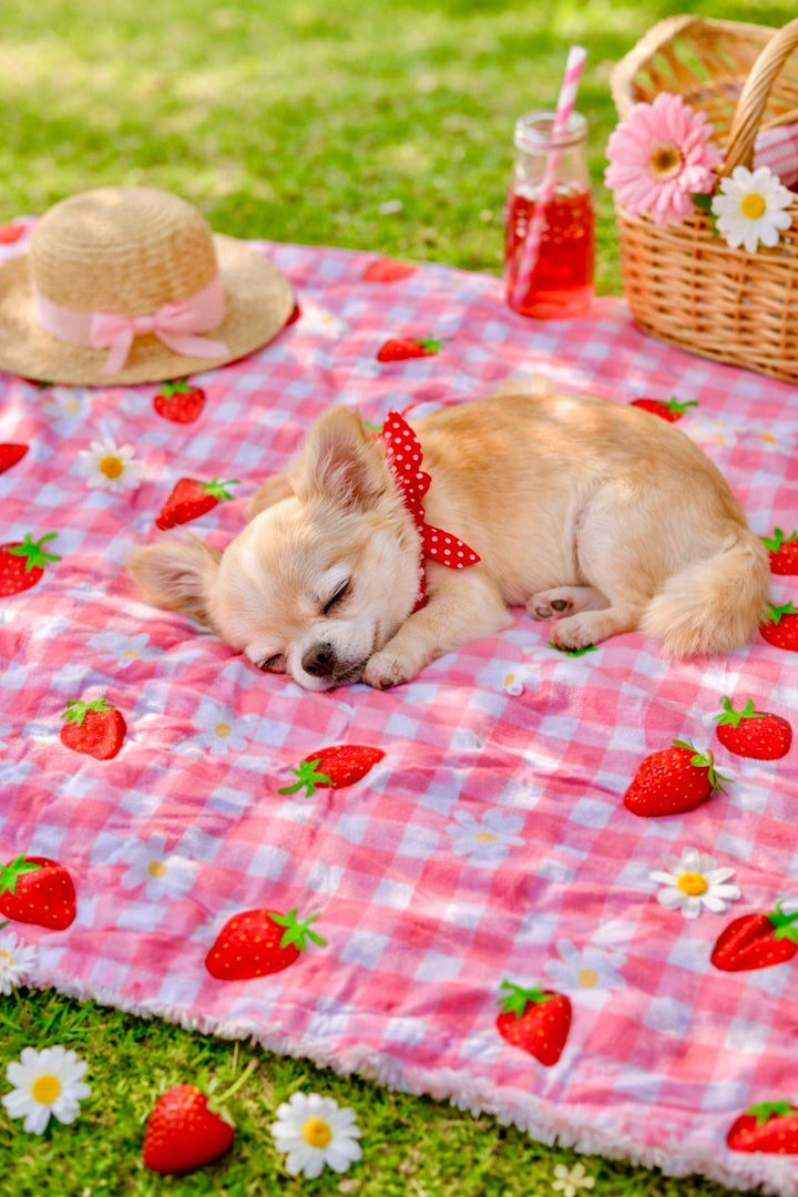 Berry Cute Blanket