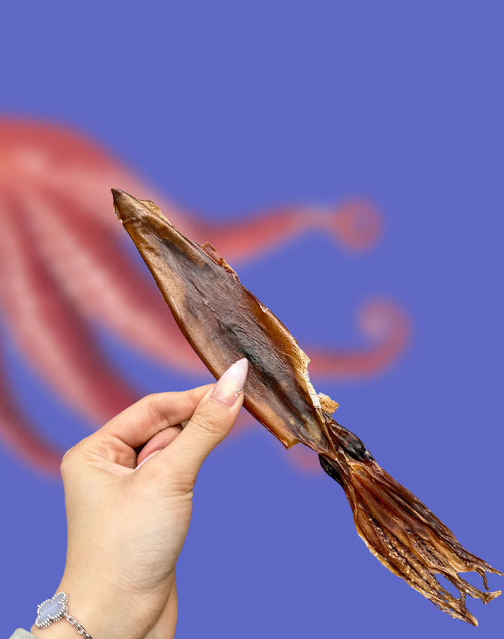 Wild Caught Whole Prey Squid Chips