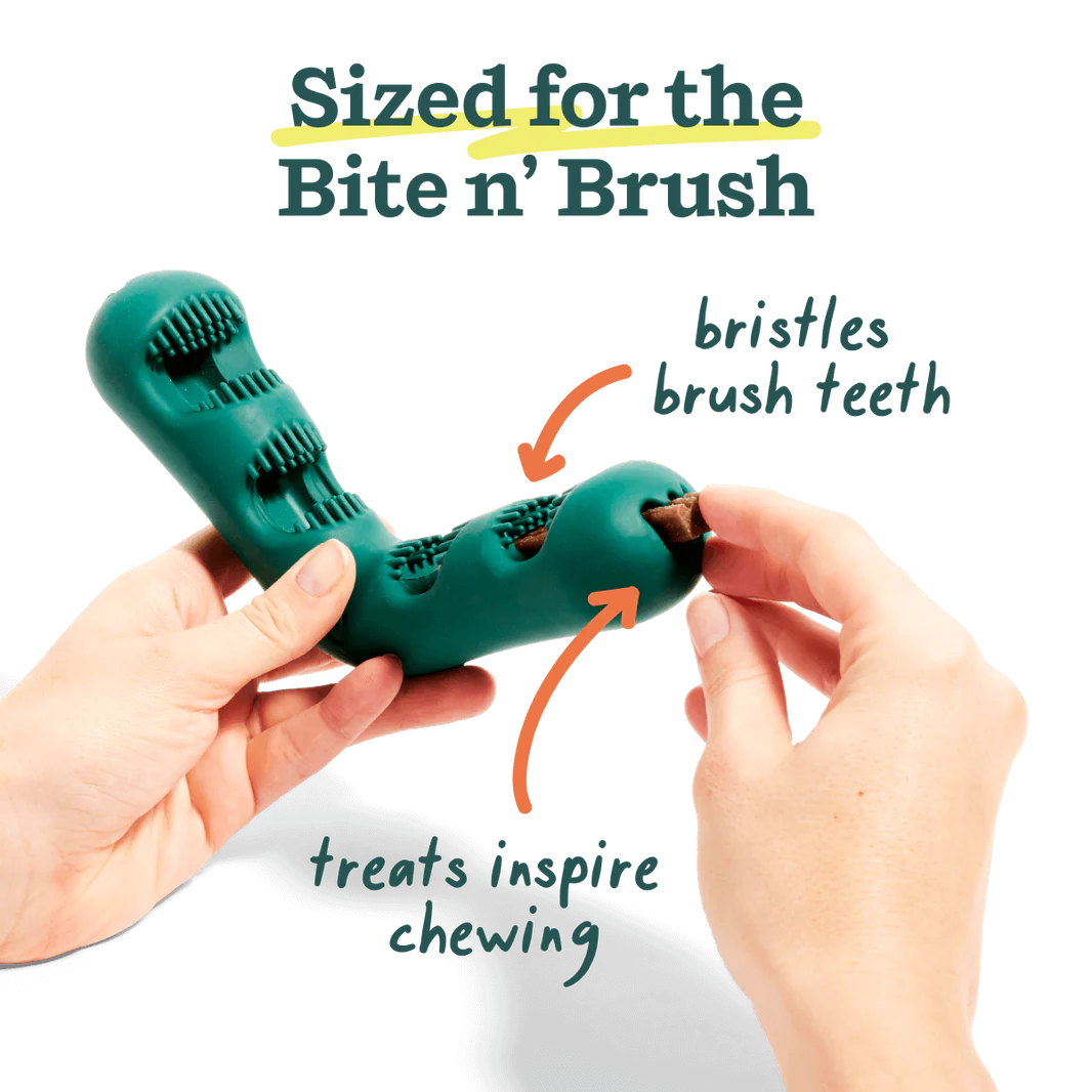 Bite n' Brush Refill