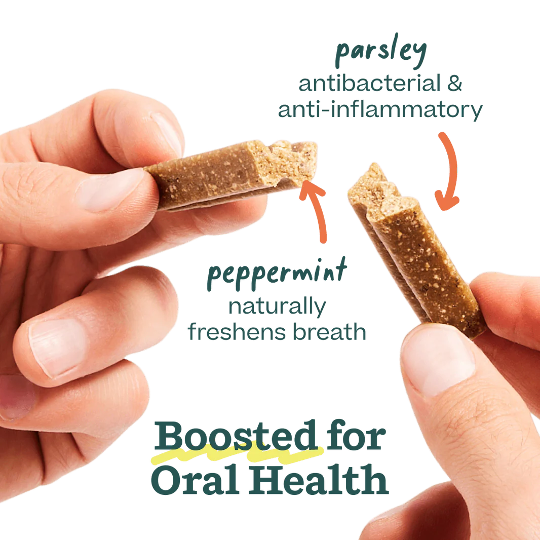 Bite n' Brush Refill