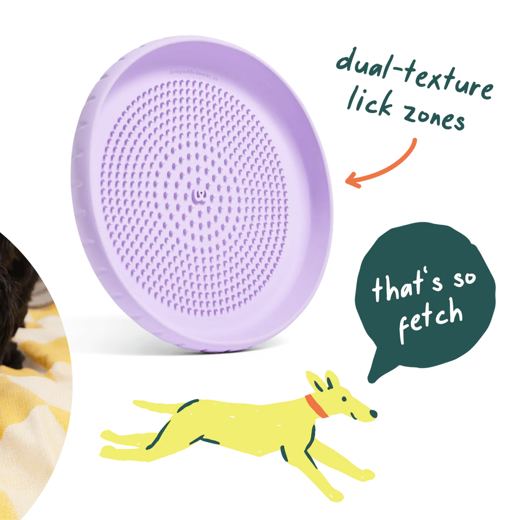 Fly n' Feed