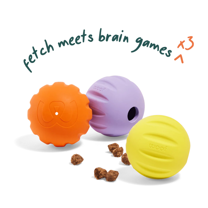 Flyball | 3-Pack
