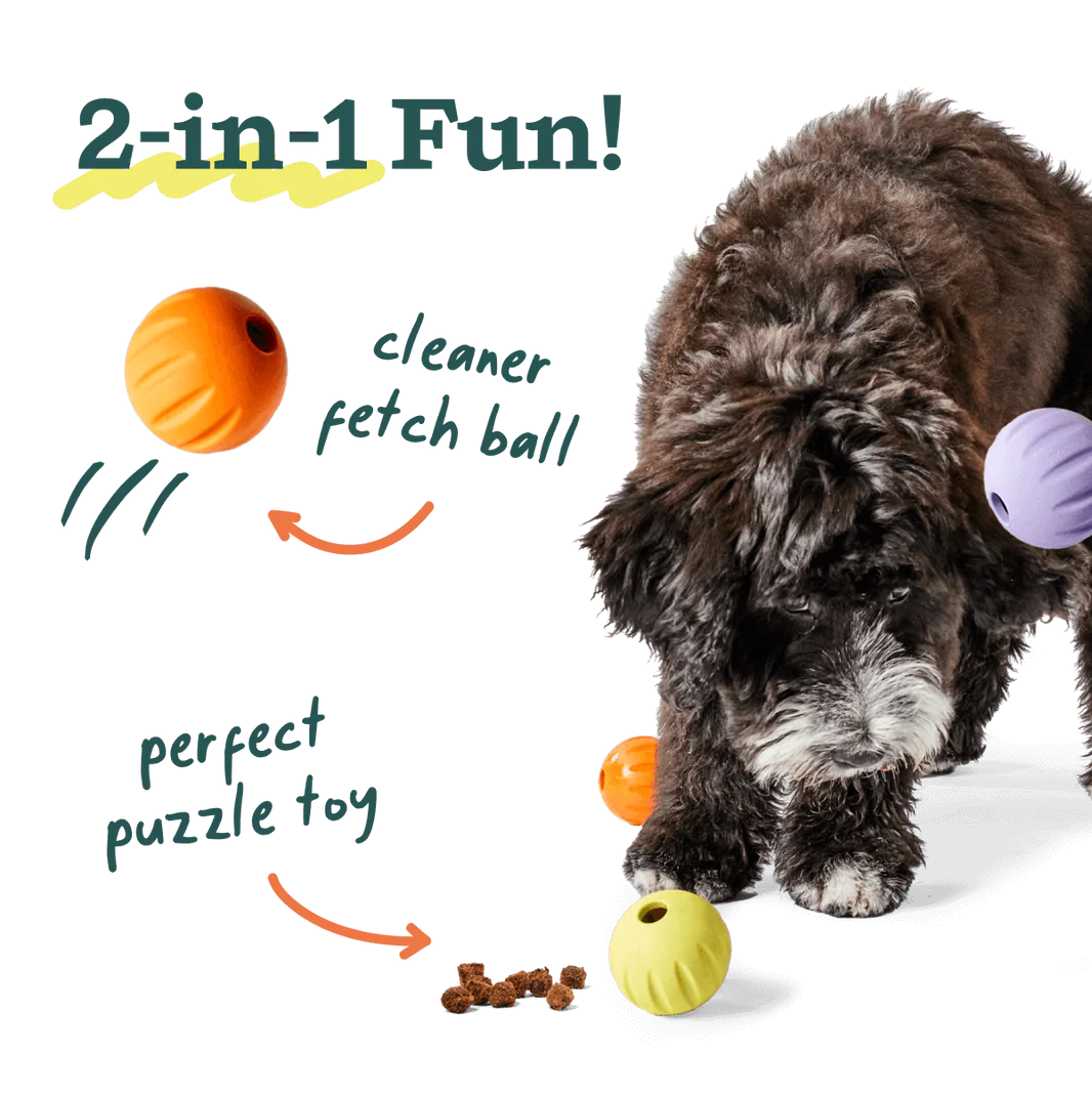 Flyball | 3-Pack