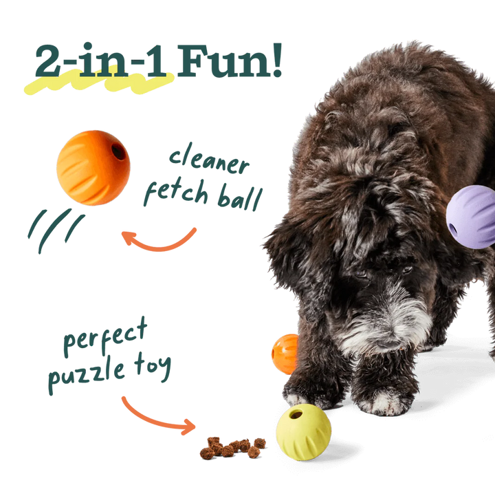 Flyball | 3-Pack