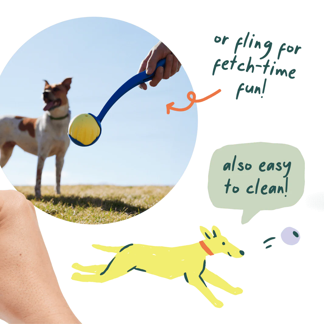 Flyball | Single