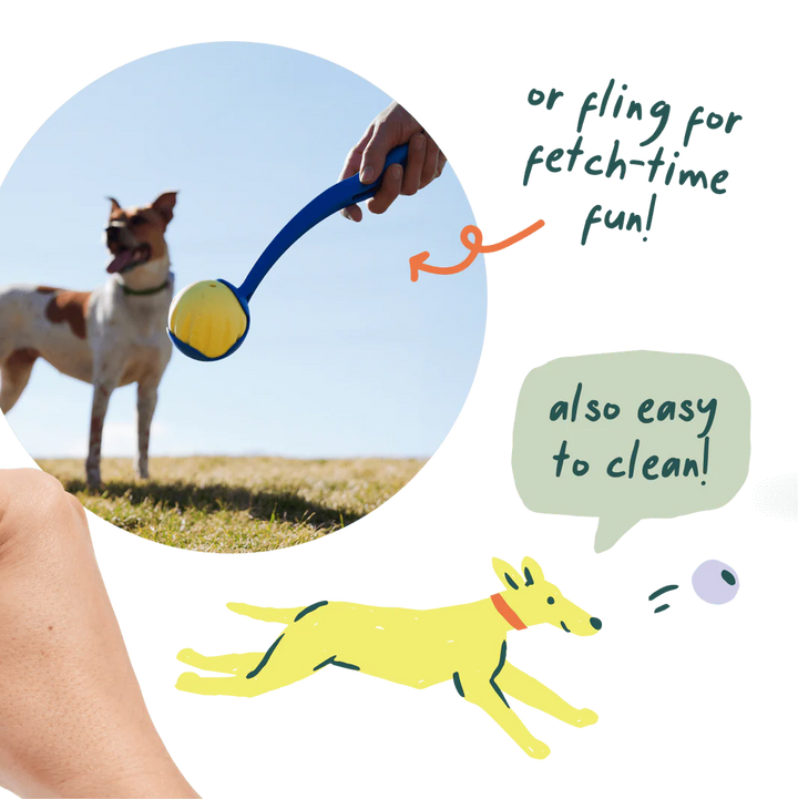 Flyball | 3-Pack