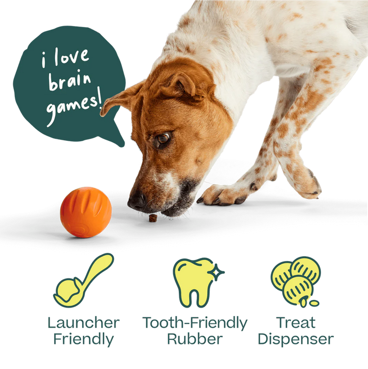Flyball | 3-Pack