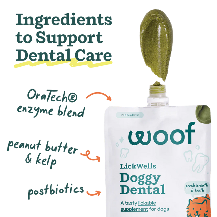 LickWells | Doggy Dental