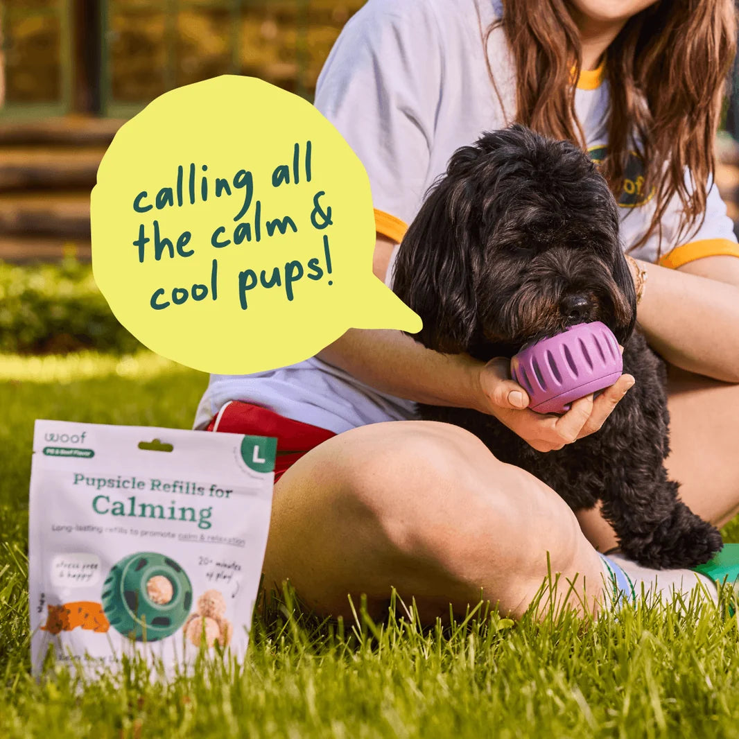 Calming Support Pops