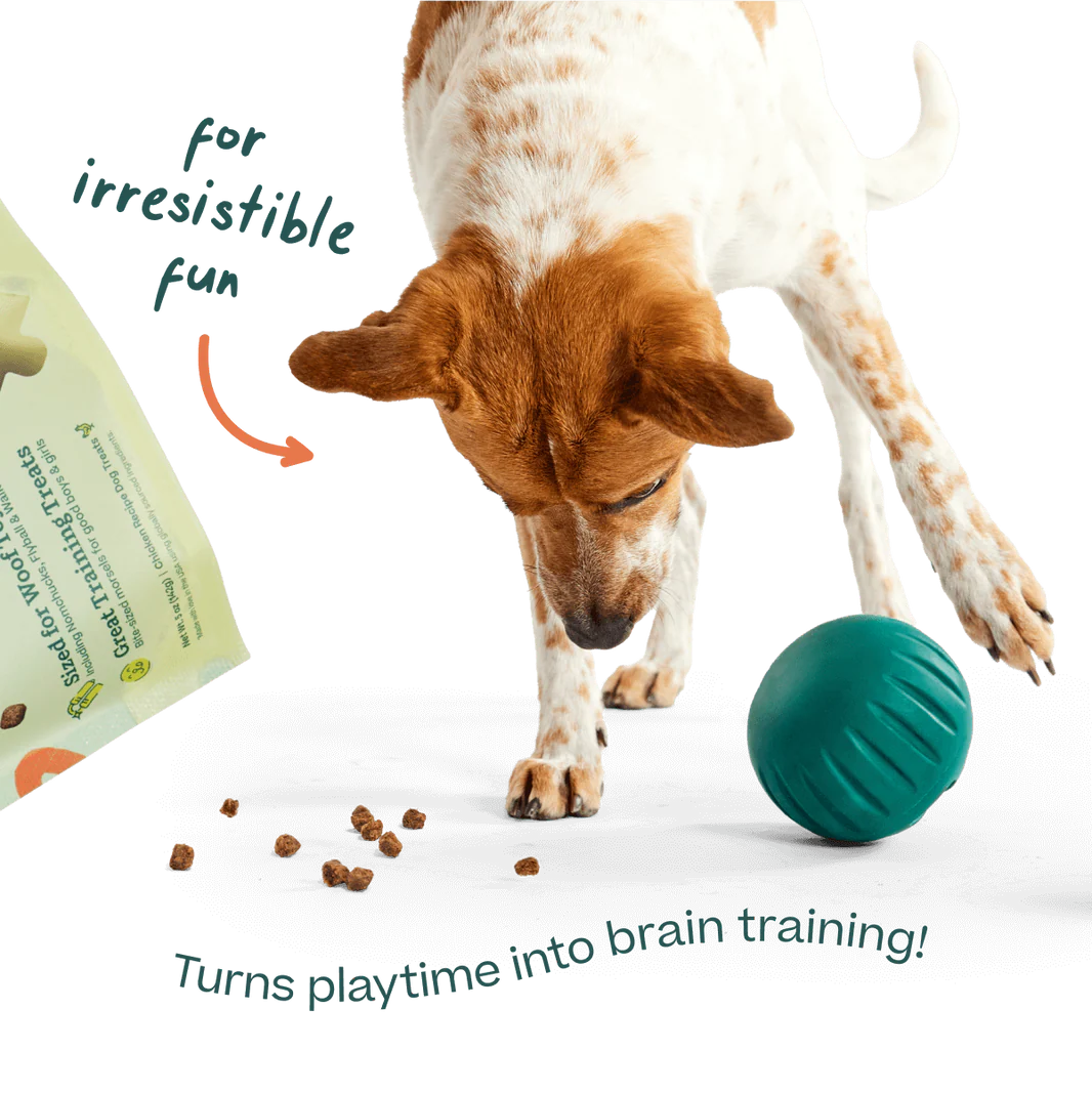 Woof Puzzle Treats