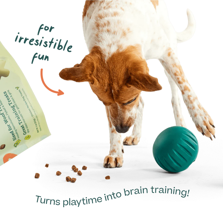 Woof Puzzle Treats