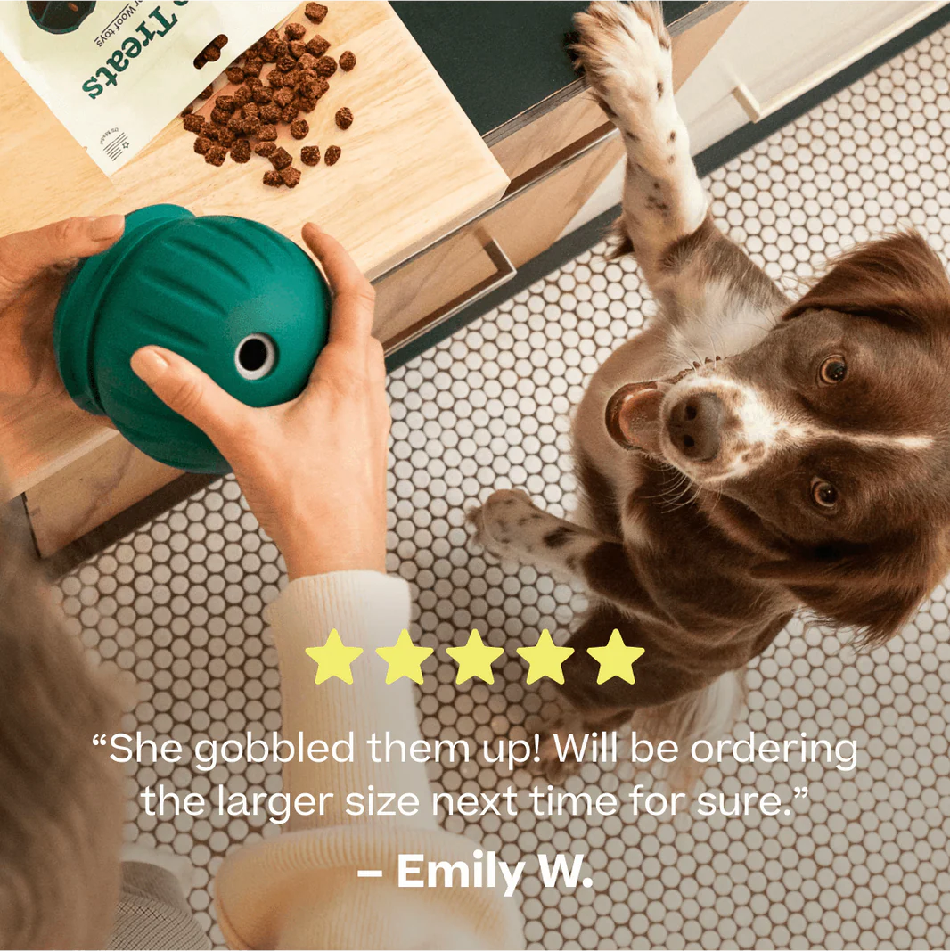 Woof Puzzle Treats