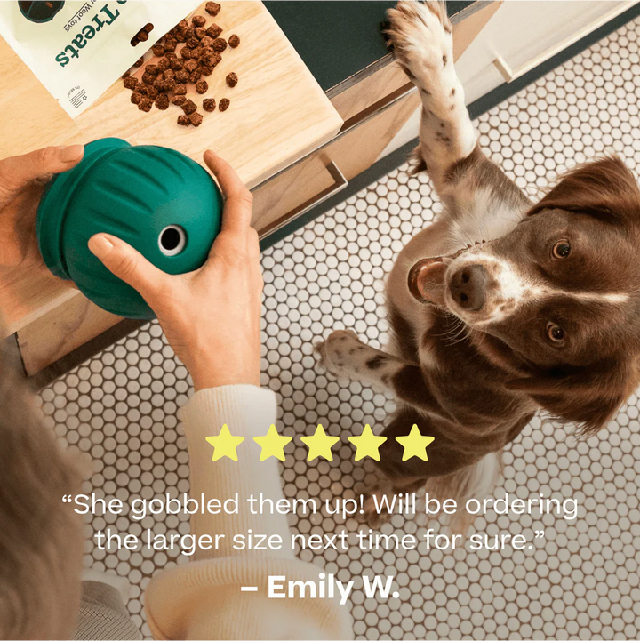 Woof Puzzle Treats