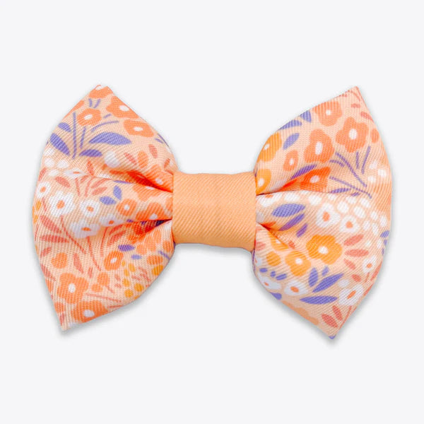 Dog Bow Tie | Notting Hill Buttercup