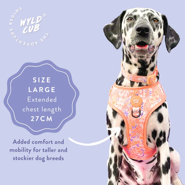 Adjustable Dog Harness | Notting Hill Buttercup