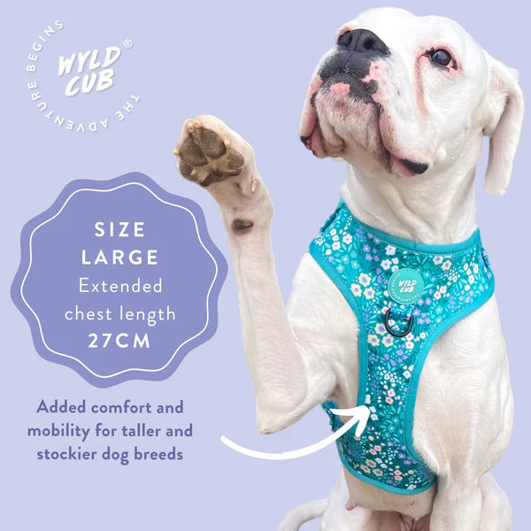 Adjustable Dog Harness | Notting Hill Mint