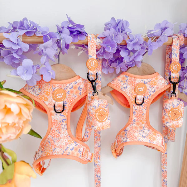 Adjustable Dog Harness | Notting Hill Buttercup