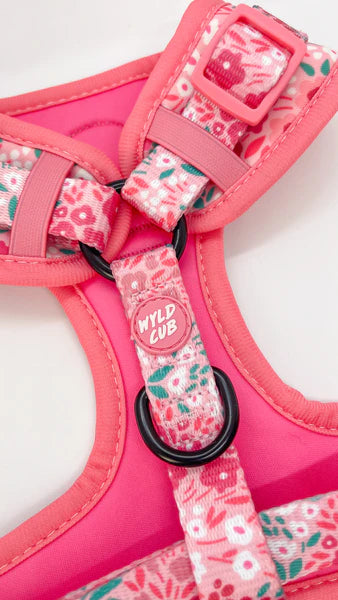 Adjustable Dog Harness | Notting Hill Rosé