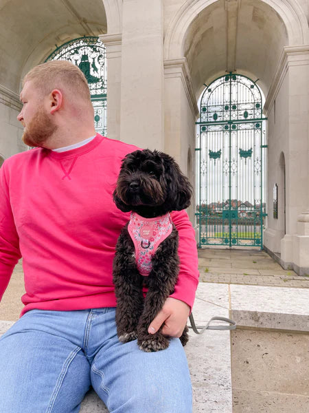 Adjustable Dog Harness | Notting Hill Rosé