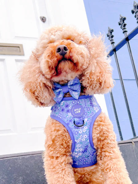 Dog Bow Tie | Notting Hill Wisteria