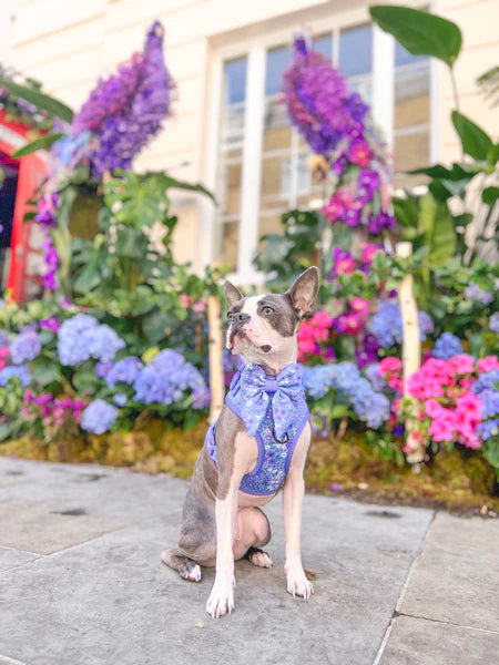 Dog Sailor Bow Tie | Notting Hill Wisteria