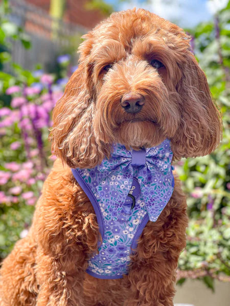 Dog Sailor Bow Tie | Notting Hill Wisteria