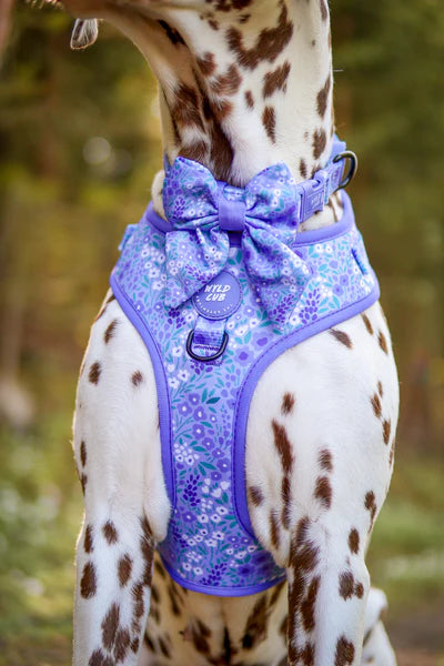 Adjustable Dog Harness | Notting Hill Wisteria