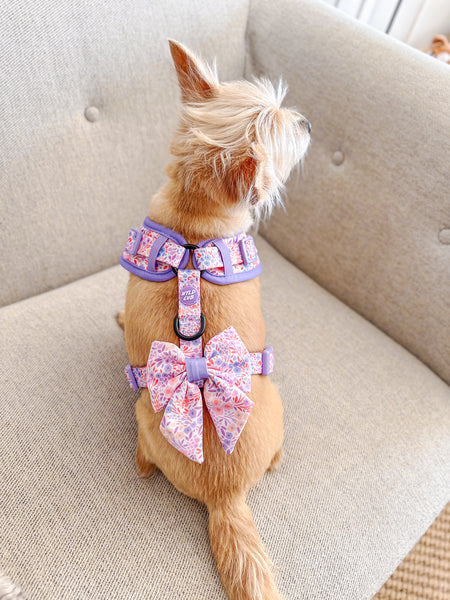 Adjustable Dog Harness | Notting Hill Lilac