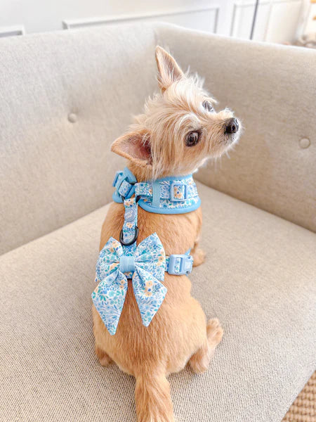 Dog Sailor Bow Tie | Notting Hill Sky