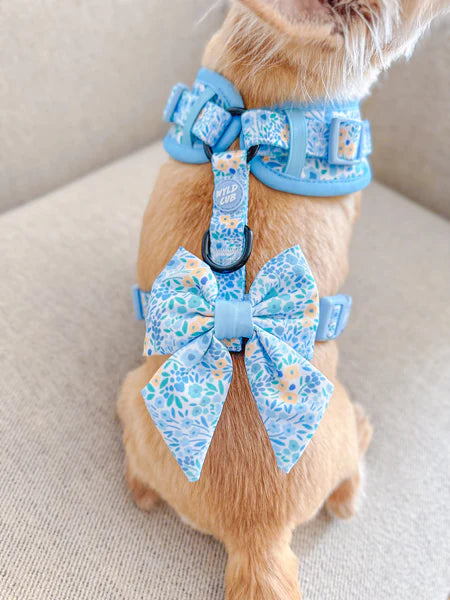 Dog Sailor Bow Tie | Notting Hill Sky