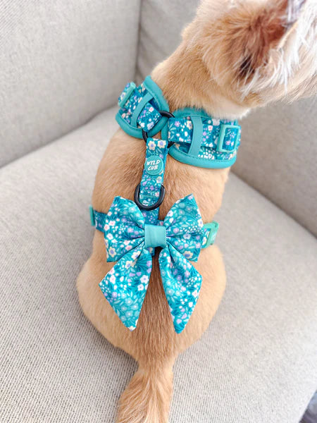 Dog Sailor Bow Tie | Notting Hill Mint