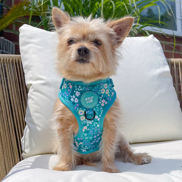 Adjustable Dog Harness | Notting Hill Mint