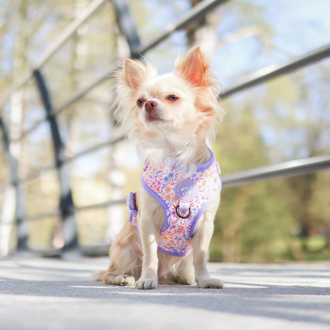 Adjustable Dog Harness | Notting Hill Lilac