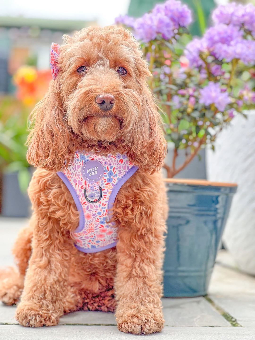 Adjustable Dog Harness | Notting Hill Lilac