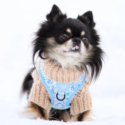 Adjustable Dog Harness | Notting Hill Sky