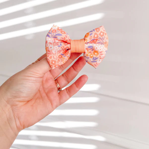 Dog Bow Tie | Notting Hill Buttercup