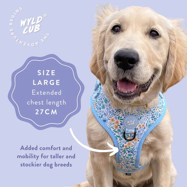 Adjustable Dog Harness | Notting Hill Sky